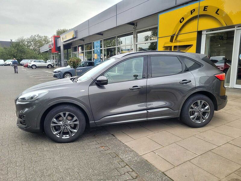 Ford Kuga ST-Line X